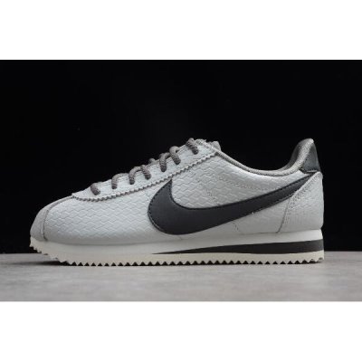 Nike Bayan Classic Cortez Se Metal Lifestyle Ayakkabı Türkiye - E86GBVGG